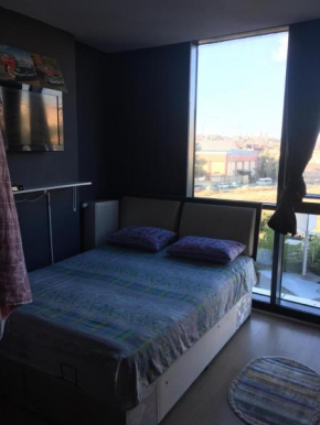 Erten suite
